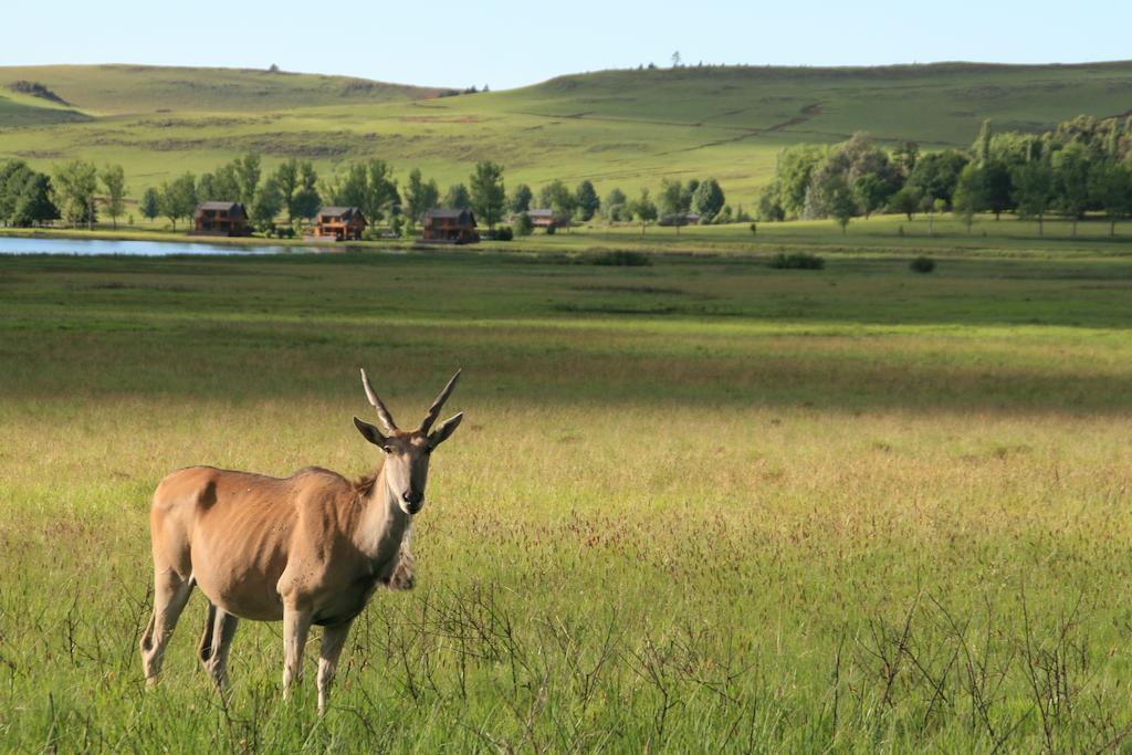 Sani Valley Nature Lodges Himeville Zewnętrze zdjęcie