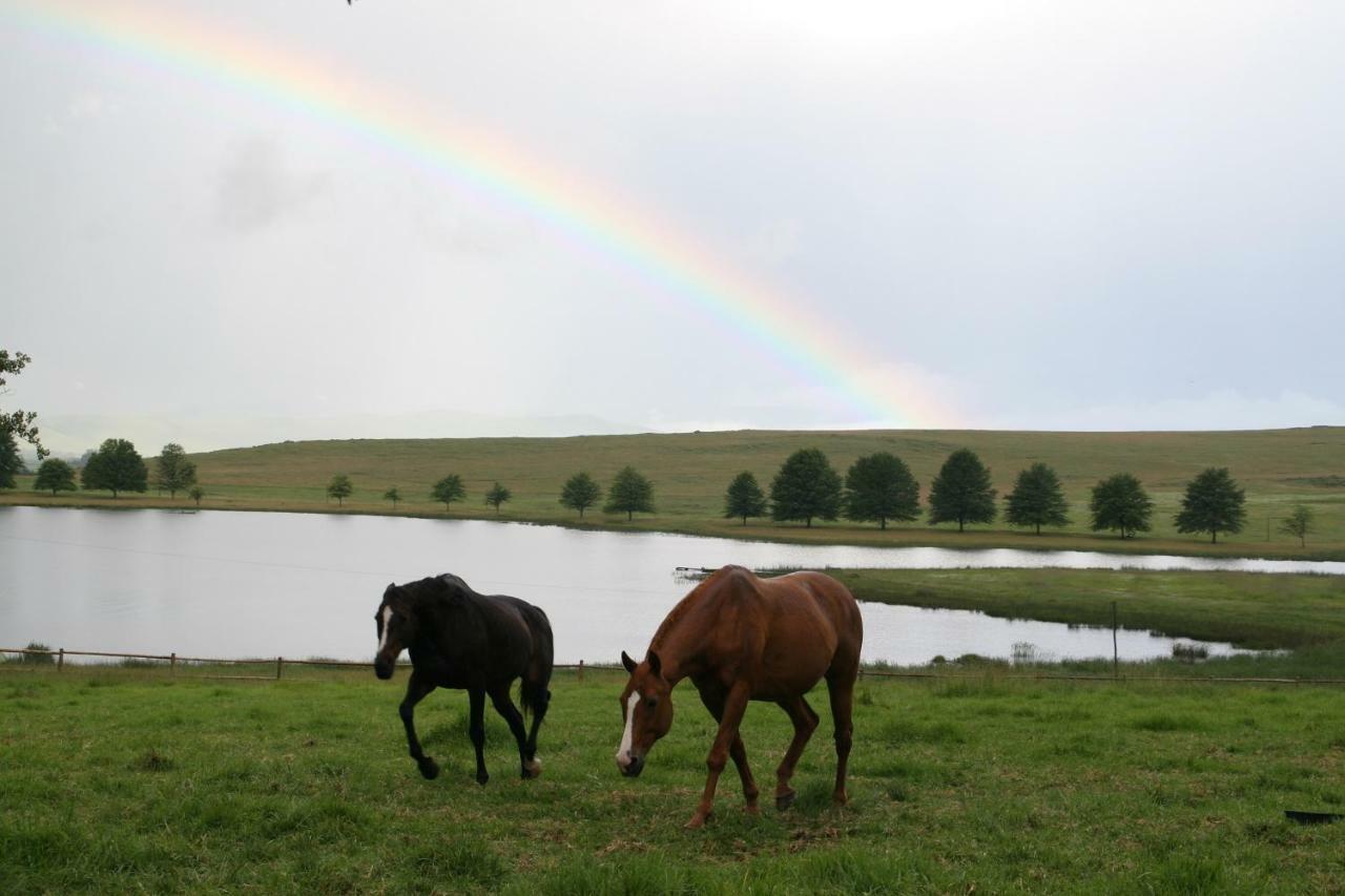 Sani Valley Nature Lodges Himeville Zewnętrze zdjęcie